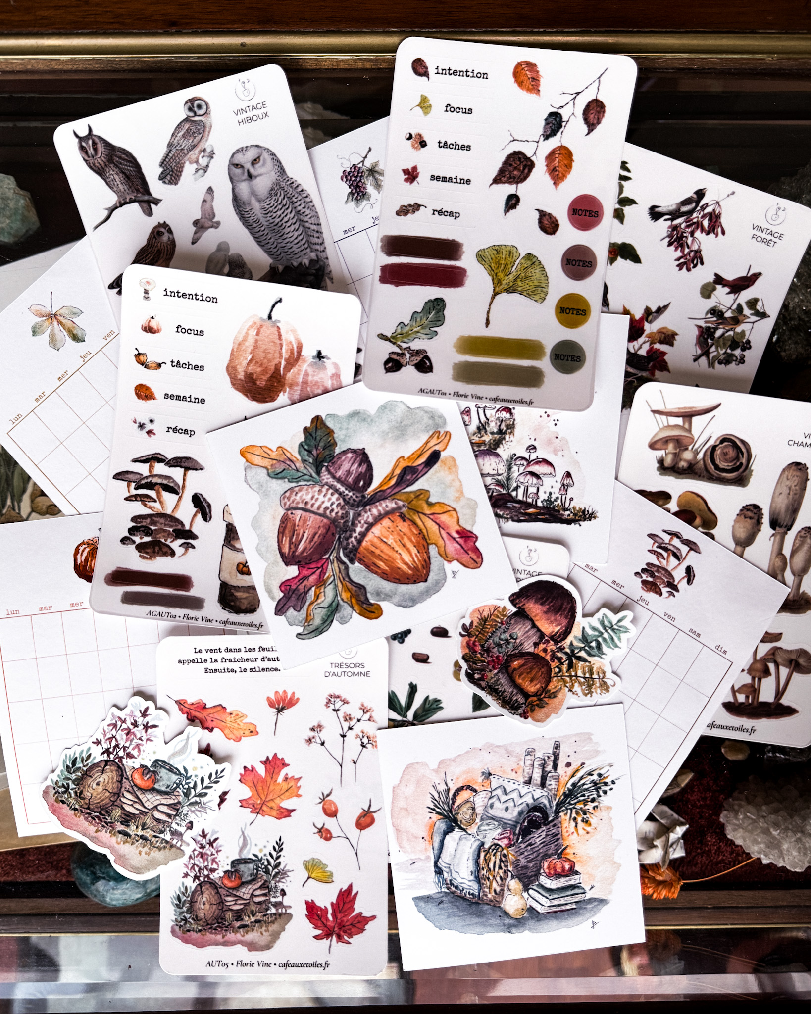 a picture of my art and creative stationery