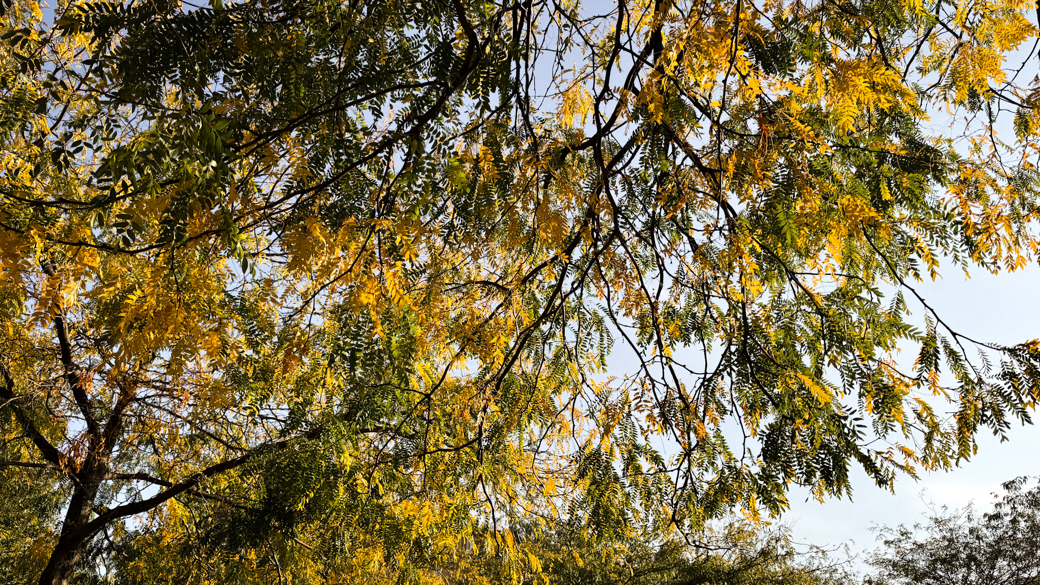 Moments d’automne | Instantanés 03